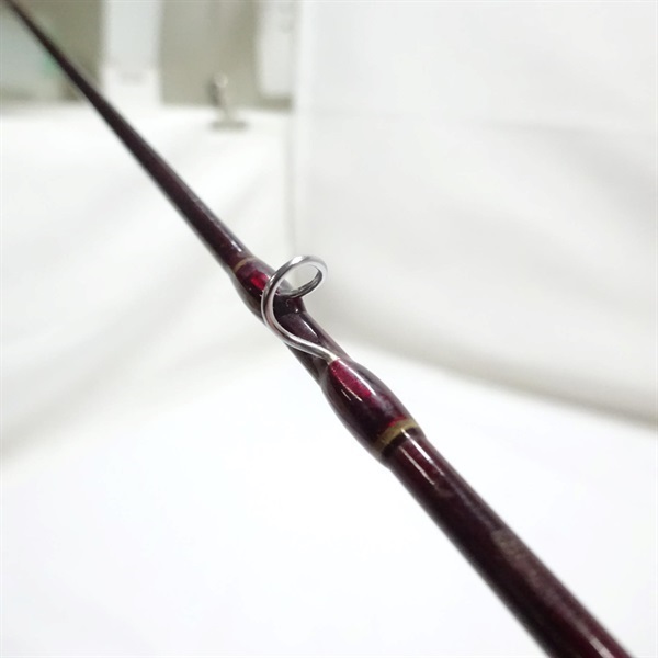 スーパーパルサーＺ３０ＴＣＦＺ－８０４０Ｔ